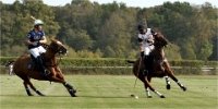 Polo Apremont D500_20-09-11_0789_