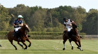 Polo Apremont D500_20-09-11_0791_