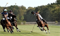 Polo Apremont D500_20-09-11_0796_