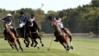 Polo Apremont D500_20-09-11_0798_