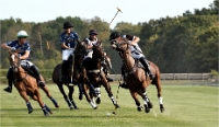 Polo Apremont D500_20-09-11_0799_