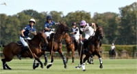 Polo Apremont D500_20-09-11_0817_