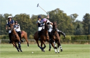 Polo Apremont D500_20-09-11_0822_