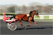 ACG_VINCENNES 15 02 07   0094