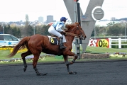 Hippodrome Vincennes  09 04 2005      116