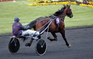 Hippodrome Vincennes  09 04 2005      135