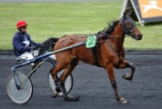 Hippodrome Vincennes  09 04 2005      146